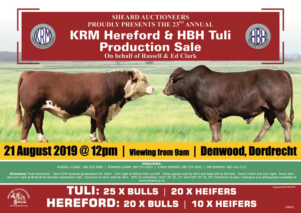 KRM Hereford Production Sale 2019